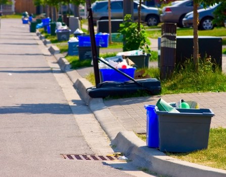 Professional waste clearance services in action